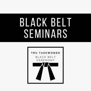 Black Belt Seminars