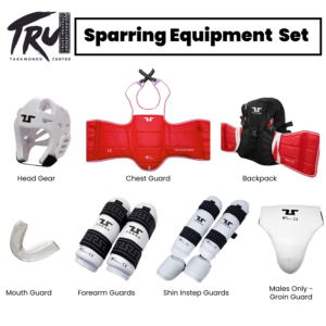 Complete Sparring Equipment Set