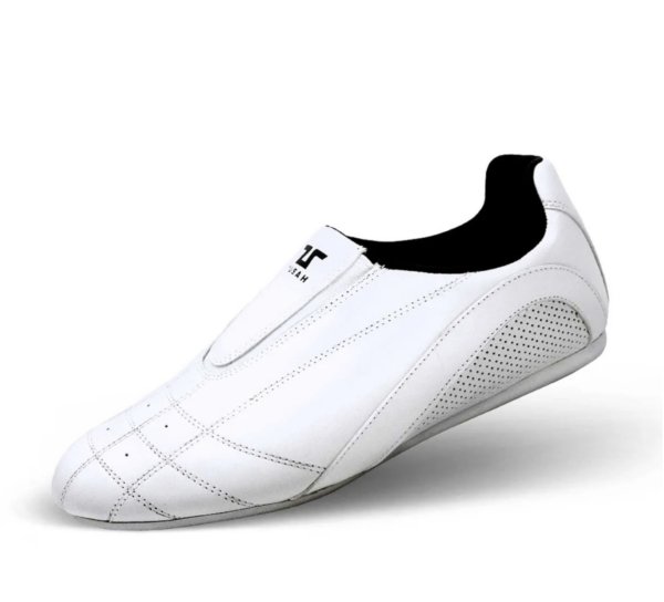 Taekwondo Shoes
